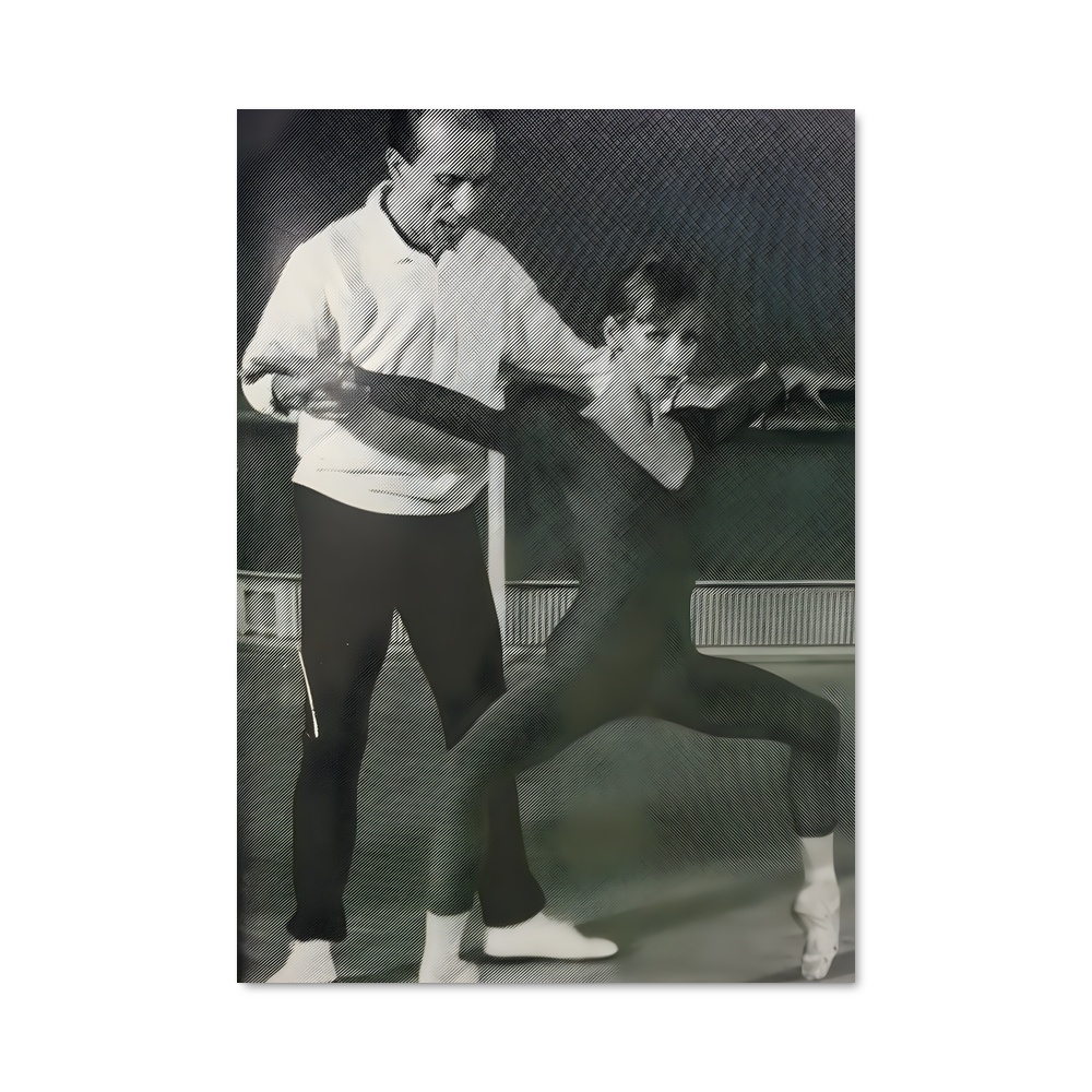 Poster Natalia de makarova